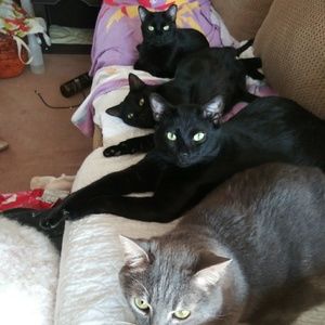 Meet your Posher, Elizabeth